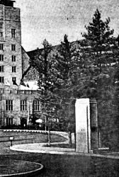 Untitled photograph