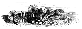 Untitled illustration