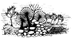 Untitled illustration