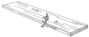 Les Coleman - Drawing