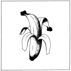 Les Coleman - Drawing