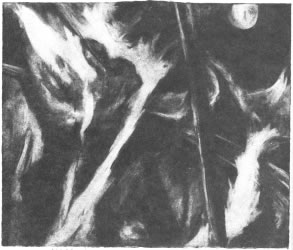 Liz Pyle - Ariel: 'I flamed amazement: sometime I'll divide and burn in many places...'