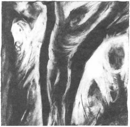 Liz Pyle - Ariel, Prospero and Sycorax