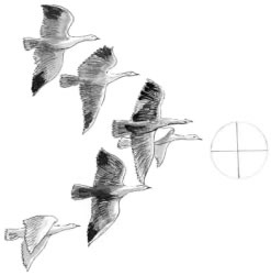 Mike Foreman - Drawing