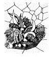 Drawing - Ian Robinson