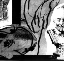 Margot Cox - Pictures