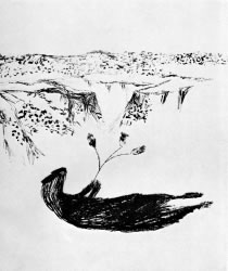 'The landscape behind is pure as a spotted lily' - Sydney Nolan