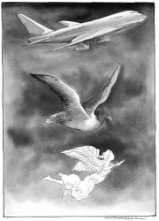 Mike Foreman - Picture