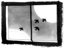 Nightbirds