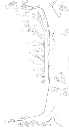 Untitled illustration