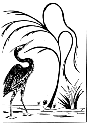 Untitled illustration