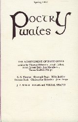 Poetry Wales Vol 17 No.4 Cover Page