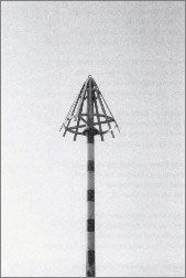 Brian Lewis photograph