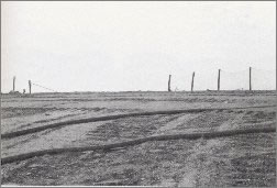 Brian Lewis photograph
