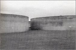 Brian Lewis photograph