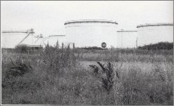 Brian Lewis photograph