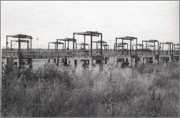 Brian Lewis photograph