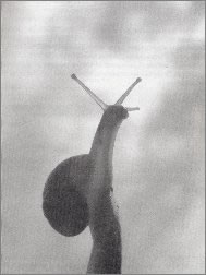 Keith Turner photograph