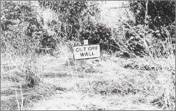 Brian Lewis photograph