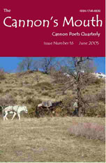 Cannon's Mouth 16 cover page