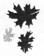 Untitled image of leaves