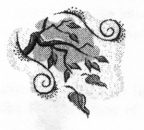 Untitled image of branch