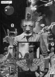 Bruno Sourdin - A Butterfly's dream