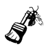 image of a bee