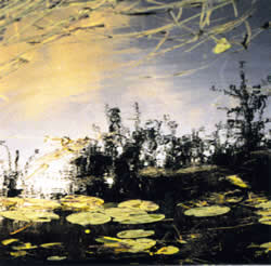 Kitty Sullivan - Untitled