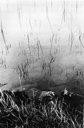 Untitled - Brian Pomeroy